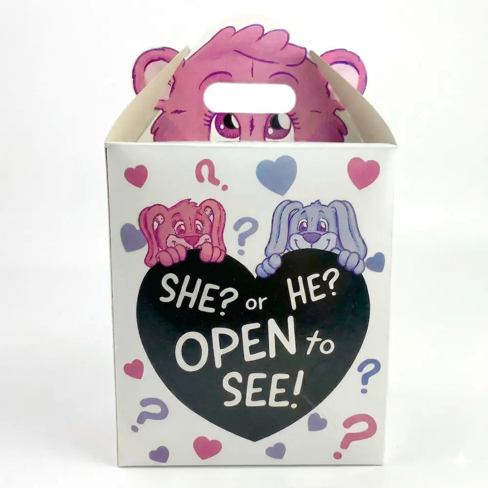 Boîte de Révélation de Genre – Surprise Box "She or He"
