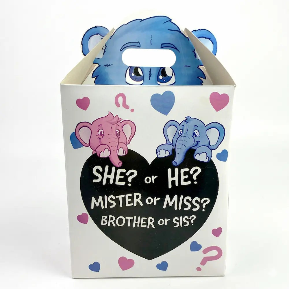 Boîte de Révélation de Genre – Surprise Box "She or He"